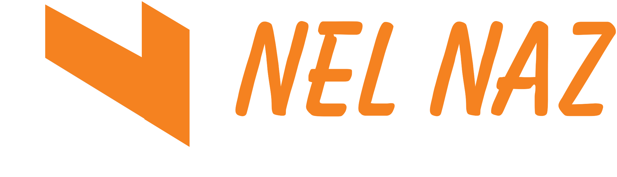 Nel Naz Enterprises